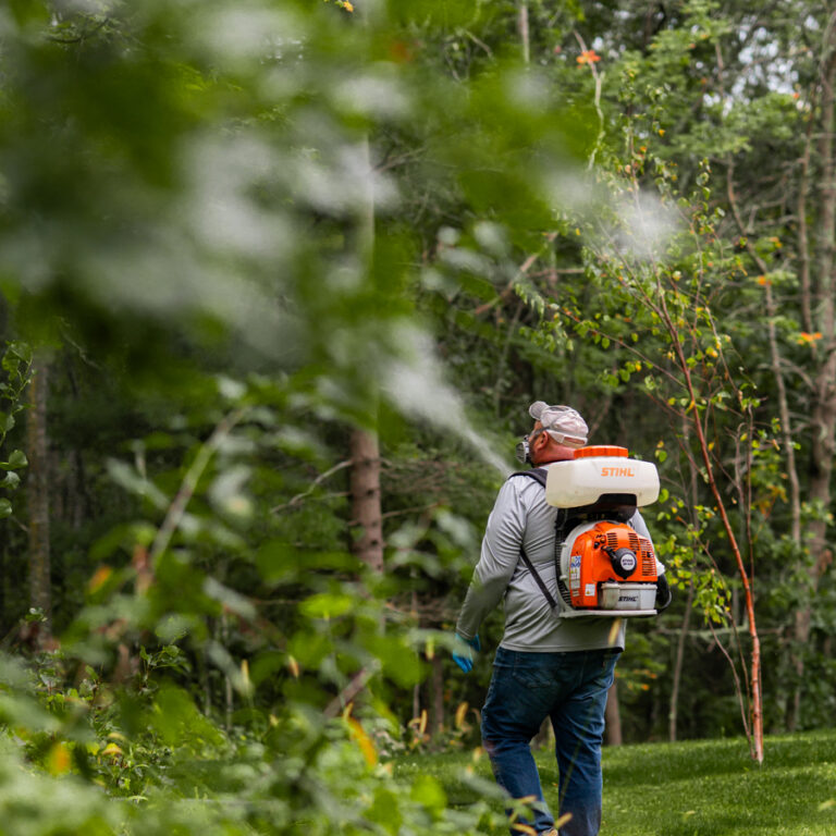 Mosquito Man technician spraying a wooded area to control mosquitoes.
